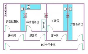 PCR實驗室建立條件及實驗區域設置規范