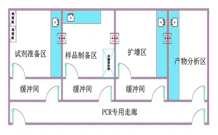 PCR實驗室區域設置